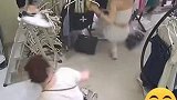 浙江温州：服装店突然窜出一只老鼠，老板娘连滚带爬的跑了出去