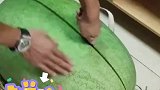 朋友送了个近百斤的大西瓜，打开后发现是个又大又红皮还薄的西瓜