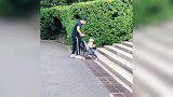 盘点爸爸带娃搞笑名场面，爸爸带娃，能活着就行！