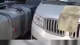 油耗子明目张胆偷油，威胁司机不能下车