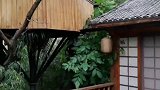 阳坡院子之树屋