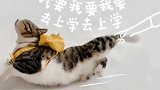 爱上学的猫咪，拦都拦不住啊，真是太聪明了