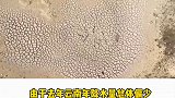云南旱情，30多万人、9万多头大牲畜饮水困难，农作物受灾面积超37万亩.....干旱