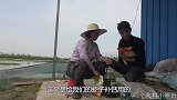 小照和老妈来到虾塘下肥料，补钙、培藻、抑制青苔生长，一箭三雕
