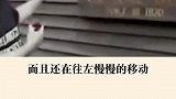 窗户上的阴影，你觉得那是什么呢