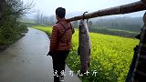 17斤大青鱼，一条鱼做7道菜，各种口味都有，一桌人直夸好吃