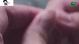 爆笑：鱼缸大的酒杯，哥们你是真会玩