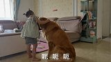 二妹化身医生，象象最后却成变狮子，这画风转变得太快了