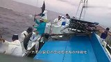 国外牛人下海捕捉蓝鳍金枪鱼,每条都价值不菲,场面壮观！