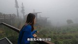 云南Day22｜入住普洱超梦幻【云端茶园营地】！睡进独栋豪华度假木屋，走在云雾缭绕的茶树间～仿佛误入仙境！