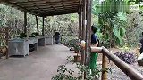 山锅兄弟用咸鱼秘制一大锅辣酱寄给远方的朋友，香辣可口又下饭！