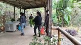 山锅兄弟用咸鱼秘制一大锅辣酱寄给远方的朋友，香辣可口又下饭！
