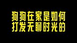 辛巴吼一吼，全场抖三抖