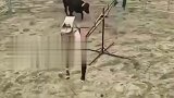 现在拼的都是演技