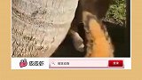 我觉得，晚不晚得看这猫聪不聪明了
