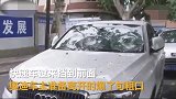 车主因为一句粗口，快递小哥当街怒砸奥迪车