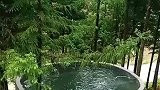 天然山泉自饮，爸爸亲手打造的水井，呼唤给它一个盖子