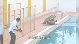 豹子闯入居民区，男子伸手试探，却直接被吞入口中！
