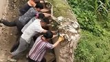 对了，就是这么干的，跟着节奏摇摆它就倒了