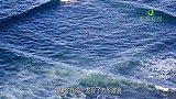 在海上发现方形波浪，一定要立刻离开，不然后悔都来不及