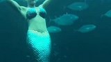 世界上到底有没有美人鱼，生物学家给出最科学的解释