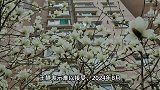 61岁老伯娶小16岁妻子，结婚当天被送进急诊