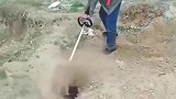 农村牛人自制翻地神器，大爷亲身试验，效果不错！