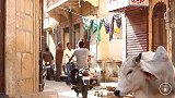 中国小伙带你看看印度居民小区，这是印度大西北，全程真实记录
