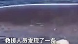 这真挚的感谢，来之不易