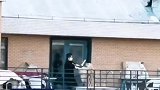女邻居在阳台跟大金毛打架，大金毛全程站立着打架