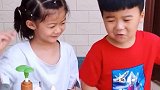 哥哥和妹妹的牙刷为什么不一样呢