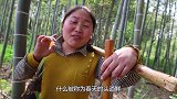 胖妹进山挖竹笋，配3斤咸排骨一炖，汤鲜味美，手抱着啃太香了