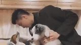 画面极度和谐！“大狼狗”宠着小狼狗，大概就是这模样