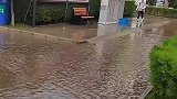 男生脚受伤单腿跳水坑，跳出去才发现跳错了脚