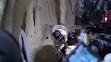 《有翡》花絮王一博戏精附体假装被巨石砸脚赵丽颖被自己逗笑