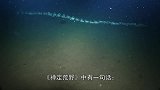 鲸鱼死后尸体落入海底，会带来什么变化最慷慨的死亡！