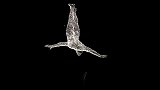 旅游-150113-瑞士上空惊现“透明人”飞行引围观