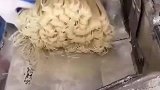 粉条加工厂对粉条进行切割加工