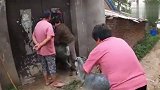 农村养的母羊发情了，直接牵着找苗子羊配种，这公羊太敬业了！