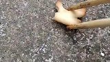 专治不开心蚂蚁搞笑大片，看一遍笑一遍