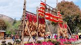 我希望你能来