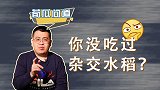 袁隆平的杂交水稻，为啥没人吃过？袁老毕生研究的意义在哪？