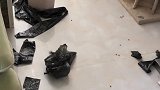 好日子到头了