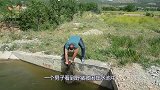 海边发现一只落水狗狗，男子正打算救它，靠近后瞬间吓出一身冷汗