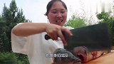 只会做酸菜鱼？草鱼这样吃才过瘾，不加1滴水，胖妹1人能吃1锅
