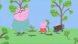 小猪佩奇：猪爸想点燃篝火，非要用老办法，差点把自己累垮了！