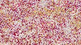 艺术家用两个星期收集了800万片花瓣，模拟火山爆发瞬间 这么罕见浪漫的时刻艾特列表第一位一起看吧 八小时时差