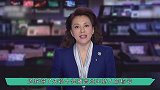 42岁央视主持梦桐老公曝光，是彼此熟悉的他，生活幸福让人羡慕