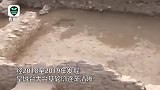 神木石峁遗址石雕远超学界对4000年前中国早期文明高度判断