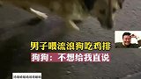 男子街边喂流浪狗吃鸡排，狗狗不想给直说